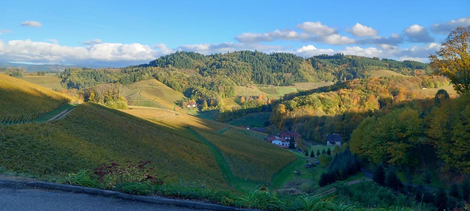 Schwarzwaldglueck Διαμέρισμα Oberkirch  Εξωτερικό φωτογραφία