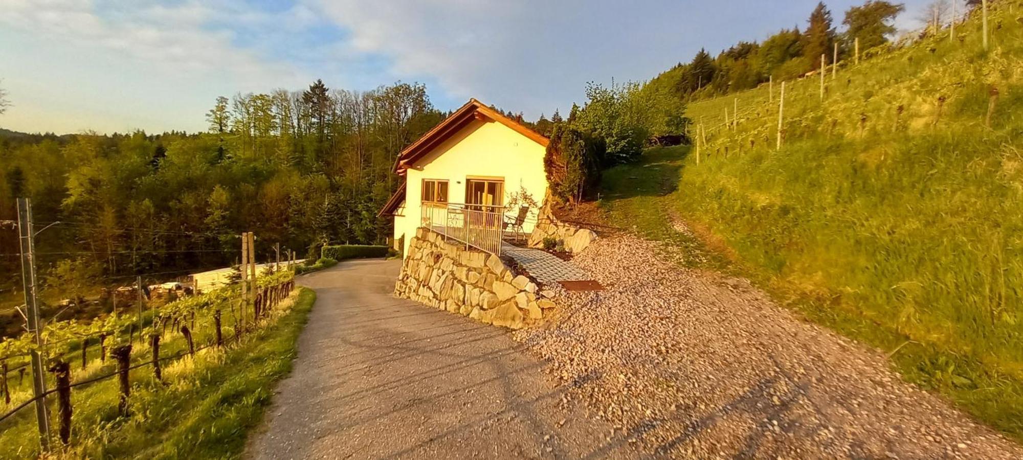 Schwarzwaldglueck Διαμέρισμα Oberkirch  Εξωτερικό φωτογραφία