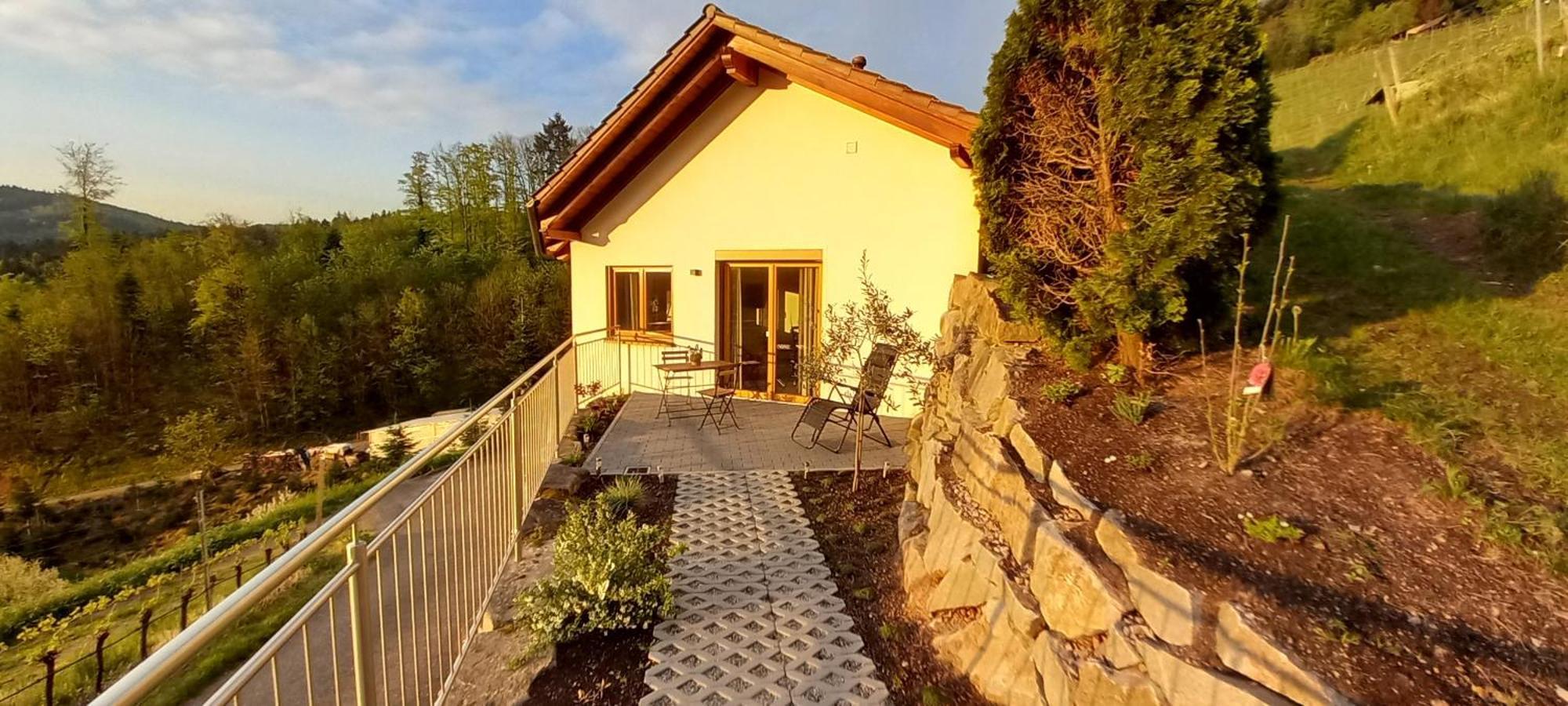Schwarzwaldglueck Διαμέρισμα Oberkirch  Εξωτερικό φωτογραφία